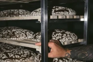 OVO JE NAJSKUPLJI HLJEB NA SVIJETU: Zbog ovih sastojaka ga tretiraju kao suvo zlato