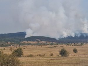 ПОЖАР У ДРВАРУ ПОД КОНТРОЛОМ: Ватрогасци из Бањалуке и Лакташа спасавали имовину (ФОТО)
