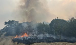 ГОРИ У ЧЕТИРИ СЕЛА: Пожари у Билећи се шире због вјетра, ватрогасци раде без предаха