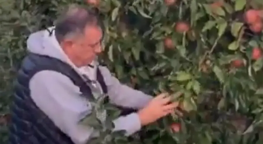 „СВЕГА СМО ИМАЛИ ОВЕ ГОДИНЕ, А И ЈАБУКЕ СУ РОДИЛЕ“: Додик показао воћњак (ВИДЕО)