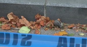 PRONAĐENA DRUGA BOMBA KOD RTV HB: Kiseljak strahuje od novih incidenata