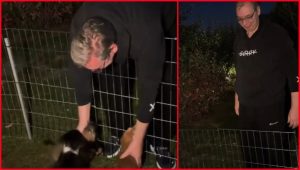 VUČIĆ OBJAVIO EMOTIVAN SNIMAK: Mir sam pronašao u igri sa mojih četvoro ljubimaca (VIDEO)